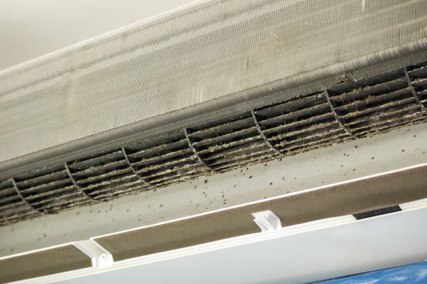 Best HVAC Duct Inspection Services  in Callaway, FL